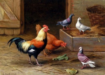  Edgar Art - Poules Pigeons et une colombe ferme animaux Edgar Hunt